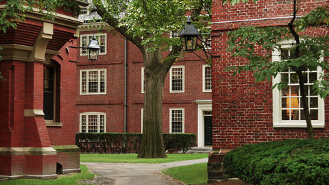 Harvard Yard