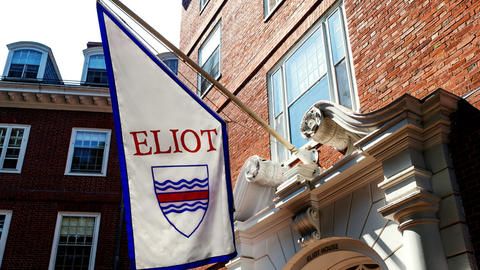 Eliot house flag