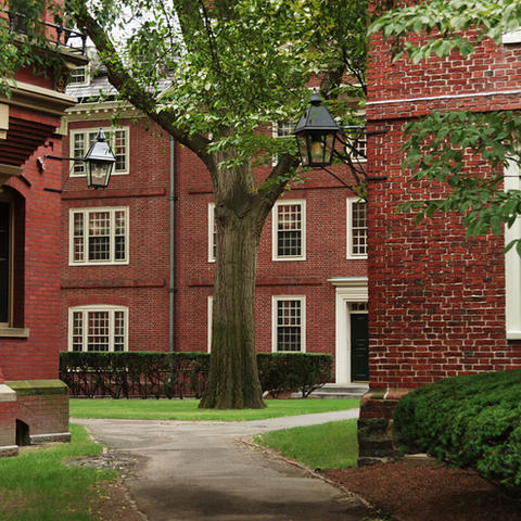 Harvard Yard